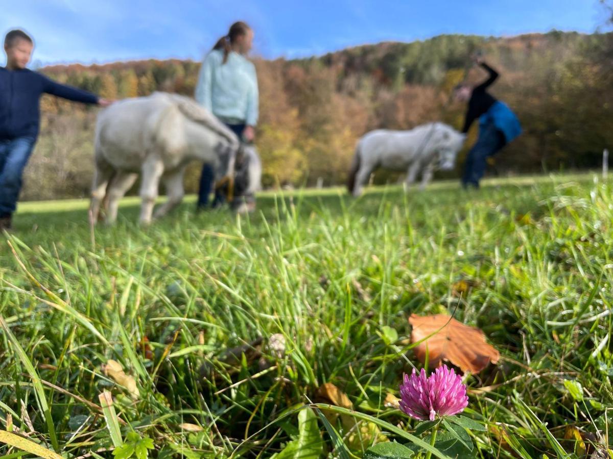 Apartmán Buechlhof - App. Himmelalm Lilienfeld Exteriér fotografie